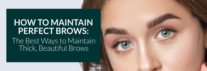 How to Maintain Perfect Brows: The Best Ways to Maintain Thick, Beautiful Brows