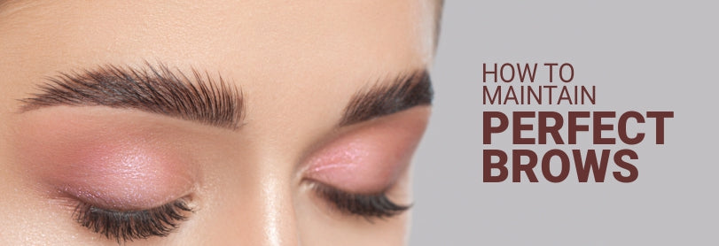How to Maintain Perfect Brows: A Blog that Talks about the Best Ways to Maintain Thick, Beautiful Brows